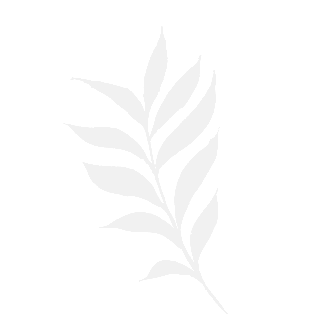 Decorative background leaf